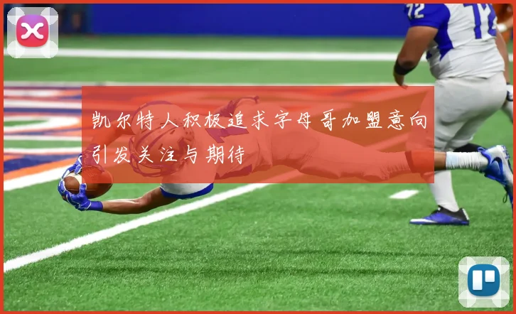 凯尔特人积极追求字母哥加盟意向引发关注与期待